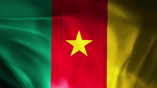 Waving Cameroon Flag Seamless Loop Vertical Animation