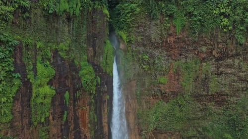 Beautiful waterfall cascading down a cliff covered with lush green tropical vegetation. Aerial