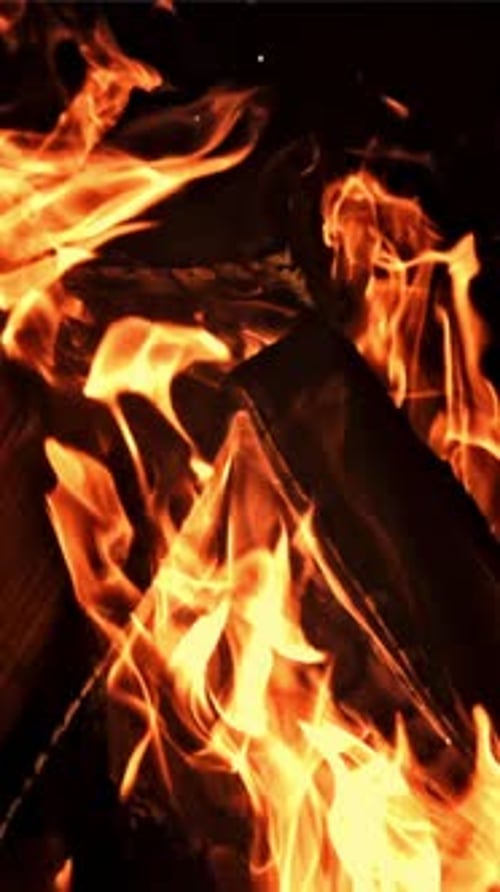 Firewood Burns with Bright Flammes Filmé Au Ralenti, 1000 FPS