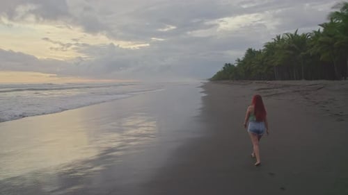 Aerial dolly in of red hair young woman walking between the sea and jungle on a cloudy sunset in Dom
