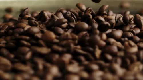 Coffee Beans, Coffee