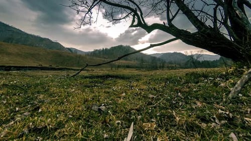 Zeitraffer von Todesbaum und trockenem gelbem Gras in einer Berglandschaft mit Wolken und Sonnenstrahlen