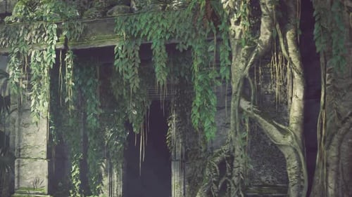 Ancient Temple Ruins Overgrown by Jungle Vines Motion Background