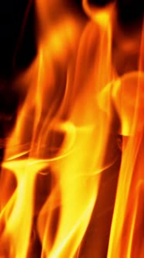 Ralentissement du bois brillant. Flamme de feu. Vidéo Bonfire Vertical