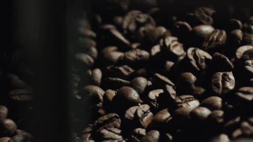 Roasted Coffee Beans in Dark, Close Up Shot