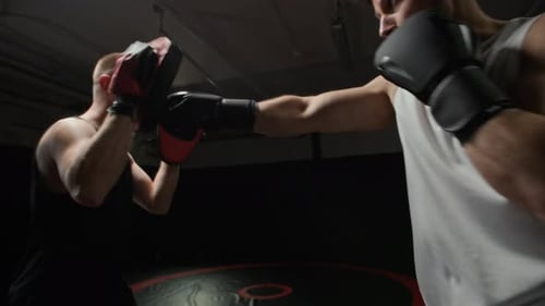 Guantes de boxeo Work en una sesión de entrenamiento