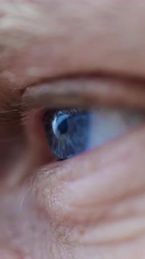 Blue Eye Close-Up With Gaze Directed At The Sky