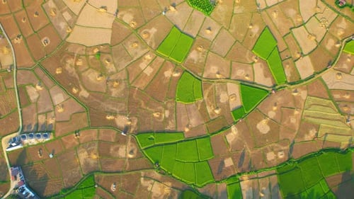 Aerial view over rice fields and villages