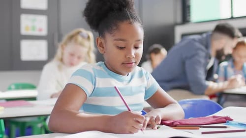 Portrait of african american schoolgirl with diverse schoolchildren in school classroom