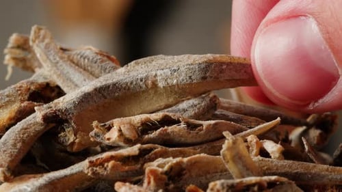 Dry Salty Fish Anchovies on a Plate Closeup Macro Dried Fish Snack for Beer Party at the Cafe or Bar