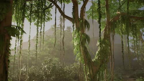 Dense Green Forest With Numerous Trees