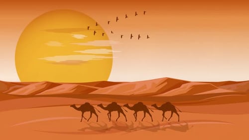 Kamelkarawane fährt durch Sanddünen in der Sahara-Wüste 4K