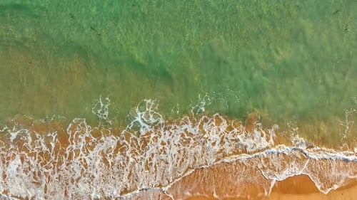 Waves rolling on the sandy beach. Foamy waves splashing on the shore.