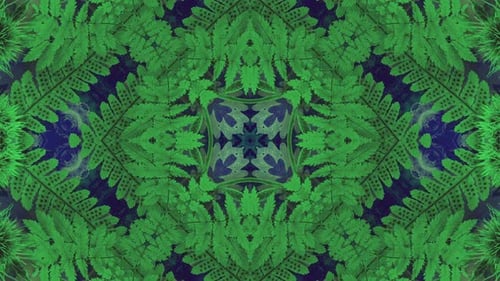 Hypnotic Abstract Nature Kaleidoscope Looping Pattern Background