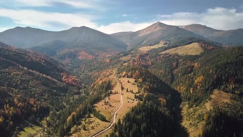Aerial View of Autumn Mountain Landscape with Evergreen Pine Trees and Yellow Fall Forest with