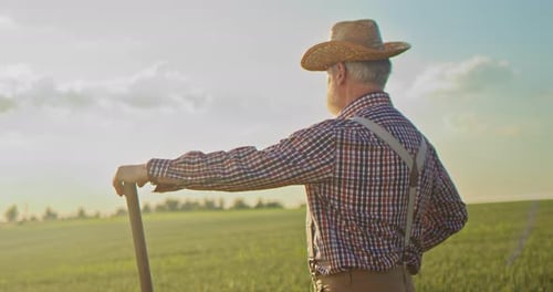 Back View of the Senior Farmer Wearing Hat Standing at the Field with Shovel and Looking at the