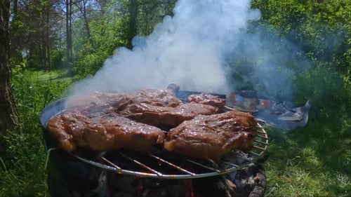 Juicy steaks sizzling on grill rack over charcoal outdoor barbecue in forest area relaxing nature we