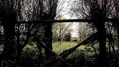 Green Field and Rustic Wooden Fence in Countryside