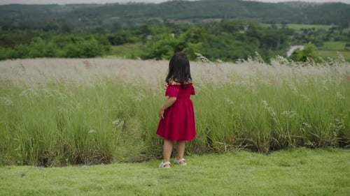 cheerful toddler girl in red dress playing in a grass field