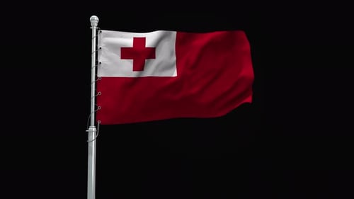 Tonga National Flag Waving in Realistic 3D Animation