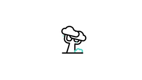 Baobab Animated Icon