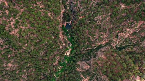 Mountain River Flowing in a Gorge Among Rocks