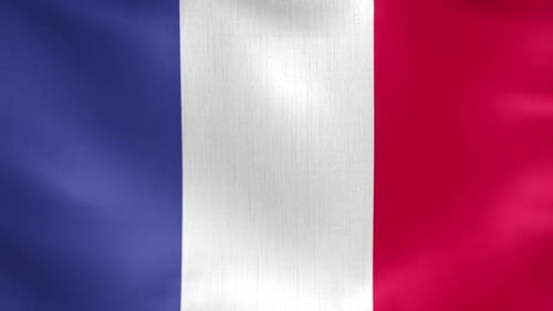French Flag Waving Seamless Loop Animation