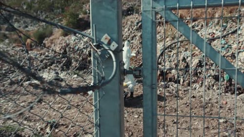 Scientists Examining Trash Dump in Protective Suits