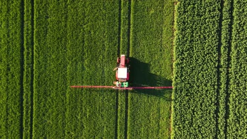 Farming Tractor Spraying on Field with Sprayer Herbicides and Pesticides at Sunset Farm Machinery