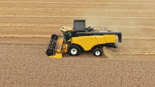 Combine Harvester Harvesting Wheat Crop in Field