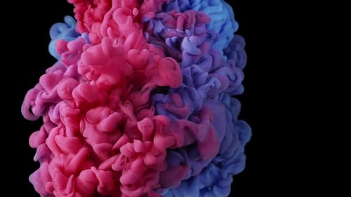 Pink and Blue Ink Plumes Swirl Together