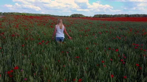 Young Blonde Woman is Walking Through a Poppies Field Feeling Happy. Field of the Red Flower Poppy S