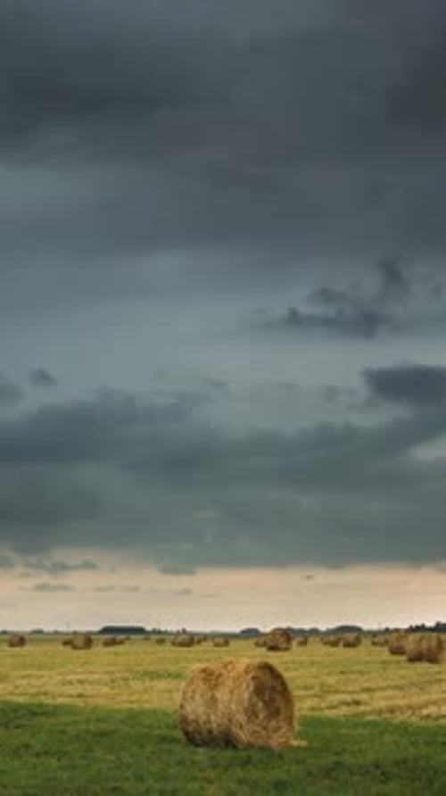 Vertical Footage Time Lapse Timelapse Timelapse