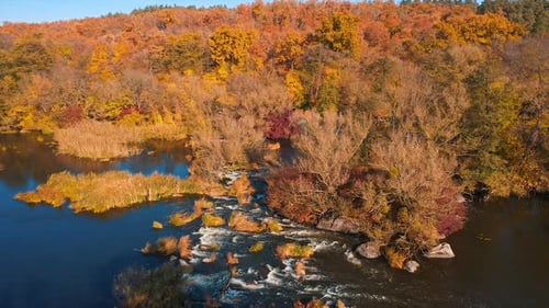 Motion camera view of the wide river near the forest in the autumn.