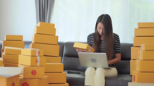 Young Woman Managing Online Business from Home