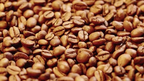 Roasting Coffee Beans with Smoke on Dark Background Close Up Arabica Robusta Colombian Beans