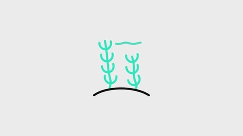 Minimalist Line Art Growing Plant Animation