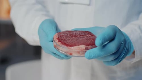 Scientist Examining Meat Sample in Petri Dish