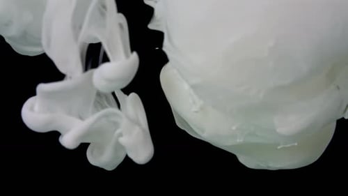 White Ink - 2K
