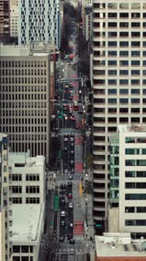 Seattle Urban Skyline Panorama