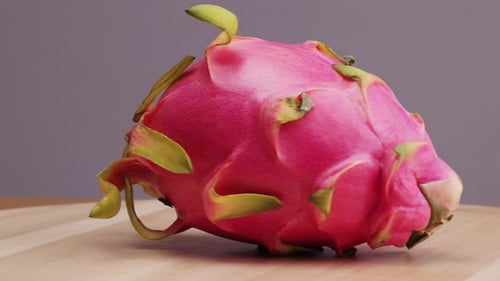 Pink Dragon Fruit Exotic Pitaya or Pitahaya is a Fruit of Several Different Cactus Species Dragon