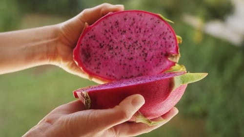 Halved Dragon Fruit Held in Two Hands