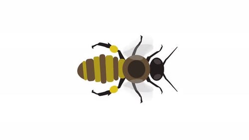 Schwebende Honigbiene im Flug, Animation, nahtlose Schleife, Illustration, Cartoon, Vertikales Video