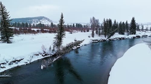 Snake River Flowing Through Snowy Forest in Jackson Hole Aerial View
