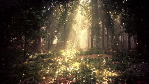 A Forest Filled with Lots of Trees and Lights