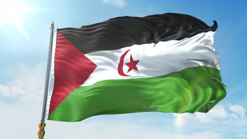 Sahrawi Arab Democratic Republic Flag Waving in Realistic 3D