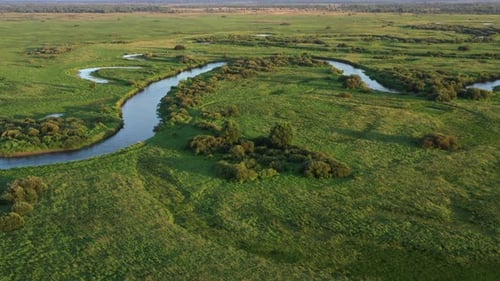 Vista aérea del sinuoso lecho del río con conductos. Volando sobre una llanura pantanosa.