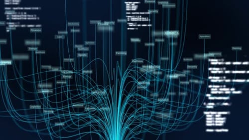 Dynamic Network Data Connections with Business Labels