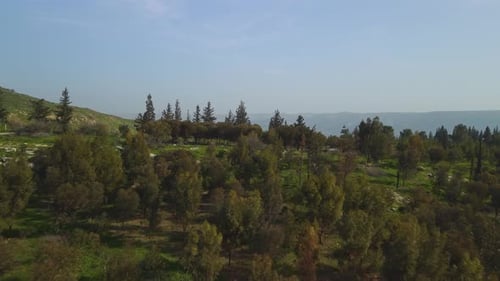 Southern Golan trees in Israel overlook the strategic border triangle of Israel, Jordan, and Syria