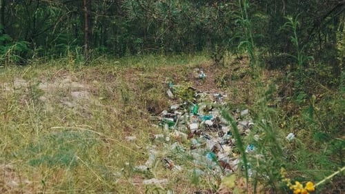 Illegal Garbage Dump of Plastic and Bottles in the Forest Pit Pollution